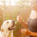 CBD Oil for Dogs: Here are the Health Benefits