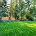 Sod, Seed, or Hydroseeding: Which Option Is Best For Your Lawn?