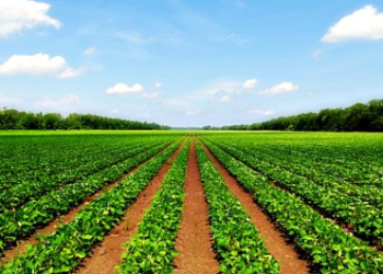 Private farms for sale