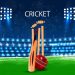 Fantasy Cricket: An software that increases the game’s aesthetic appeal.