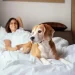 Bringing Your Dog To A Hotel? 10 Things You Need To Know
