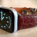 Why do people love to use the alligator apple watch band?