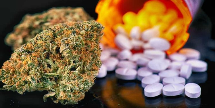 The Power of THC Pills: A Convenient Cannabis Experience